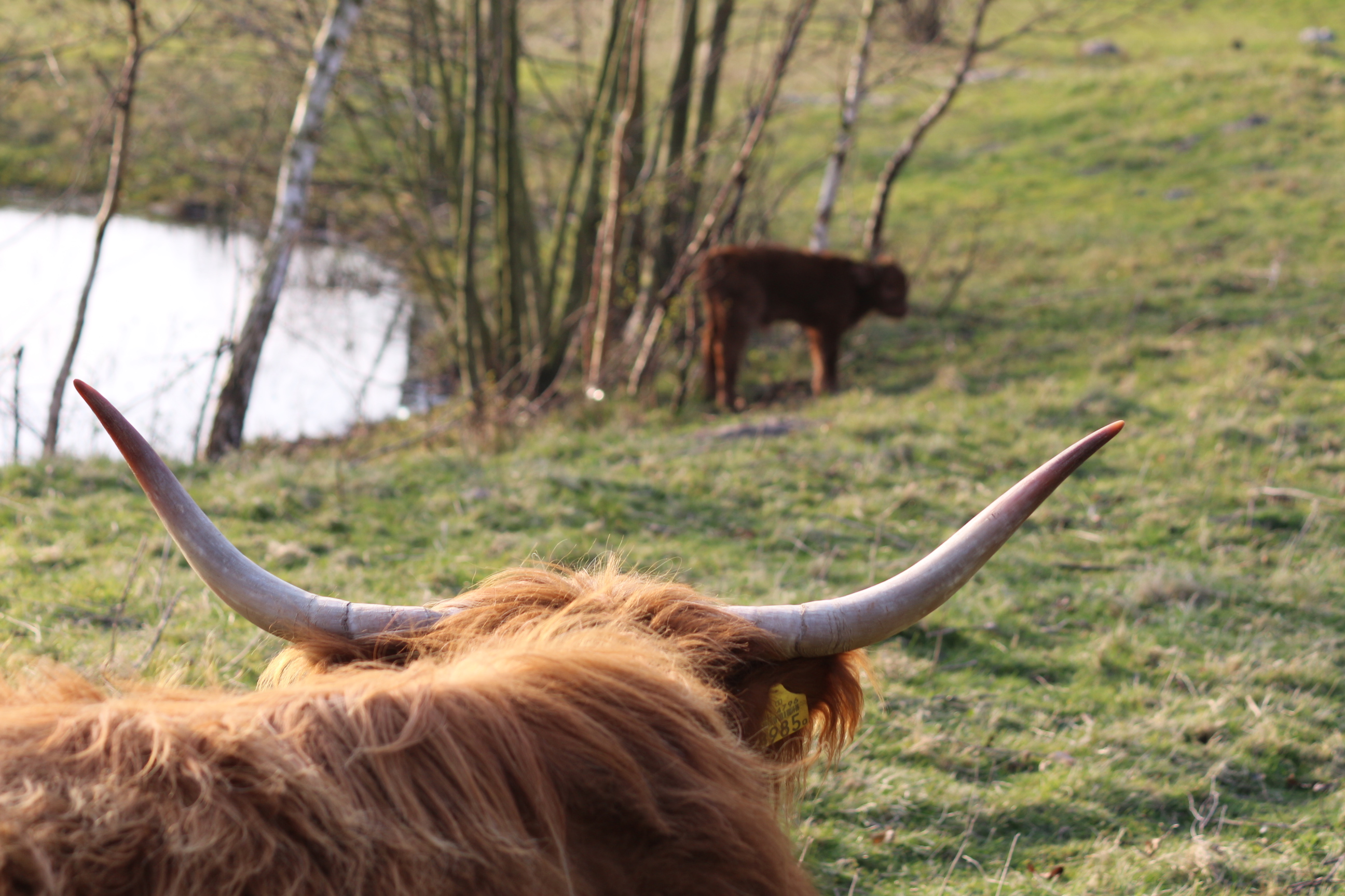 De lente is begonnen