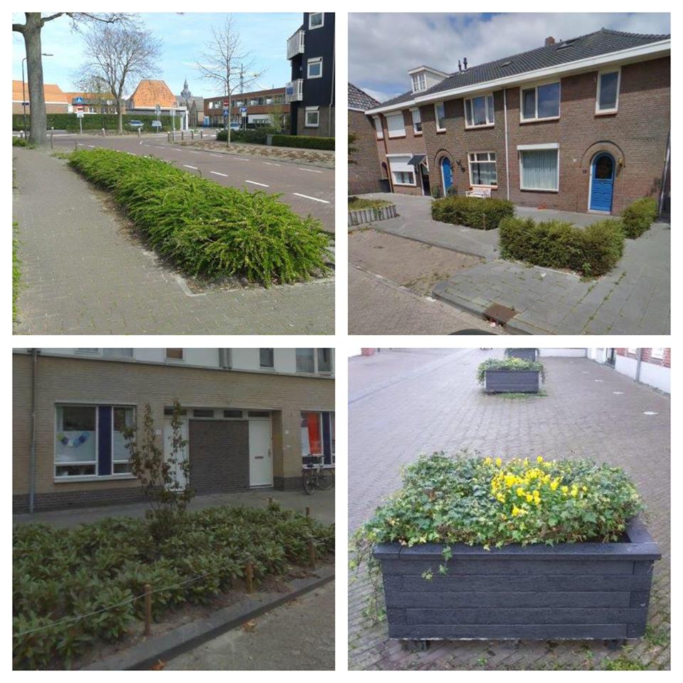 Meer groen op straat